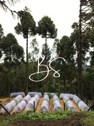 Imagem Imóvel à Venda, em Rancho Da Jane - Canela Imagem Imóvel à Venda, em Rancho Da Jane - Canela