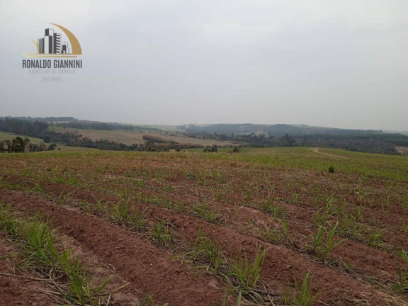 Imagem Fazenda à Venda, 968.000 m² em Zona Rural - Mombuca Imagem Fazenda à Venda, 968.000 m² em Zona Rural - Mombuca