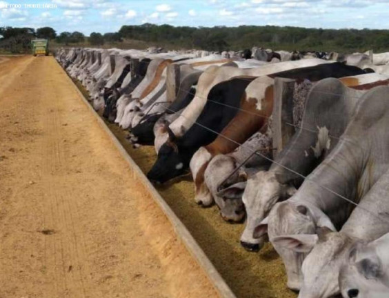Imagem Fazenda à Venda, 4.405 m² em Rural - Mineiros Imagem Fazenda à Venda, 4.405 m² em Rural - Mineiros