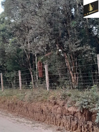 Imagem Imóvel à Venda, 20.000 m² em Ipê - São José Dos Pinhais Imagem Imóvel à Venda, 20.000 m² em Ipê - São José Dos Pinhais