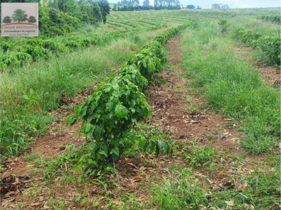 Imagem Fazenda à Venda, 2.000 m² em Zona Rural - Perdizes Imagem Fazenda à Venda, 2.000 m² em Zona Rural - Perdizes
