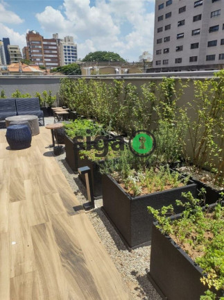 Imagem Apartamento com 1 Quarto para Alugar, 25 m² em Vila Mariana - São Paulo Imagem Apartamento com 1 Quarto para Alugar, 25 m² em Vila Mariana - São Paulo
