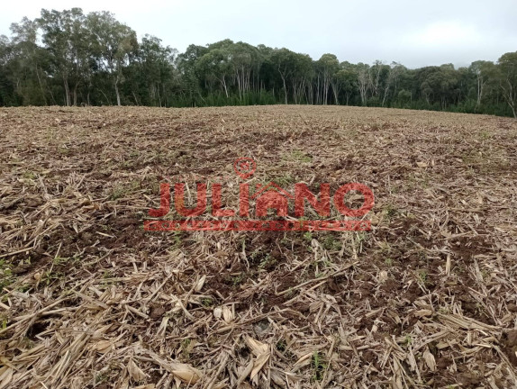 Imagem Chácara à Venda, 24.400 m² em Mafra Imagem Chácara à Venda, 24.400 m² em Mafra