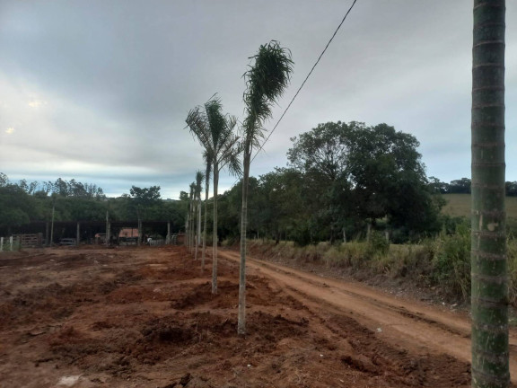 Imagem Terreno à Venda, 1 m² em Jardim Nova Capela - Capela Do Alto Imagem Terreno à Venda, 1 m² em Jardim Nova Capela - Capela Do Alto