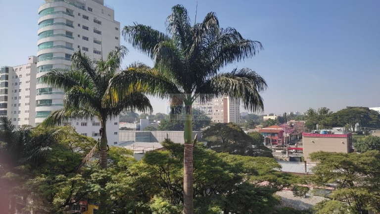 Imagem Apartamento com 3 Quartos à Venda, 145 m² em Planalto Paulista - São Paulo