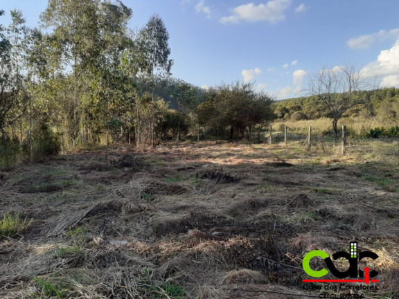 Imagem Imóvel com 4 Quartos à Venda, 1.250 m² em Recanto Mourao - Andradas