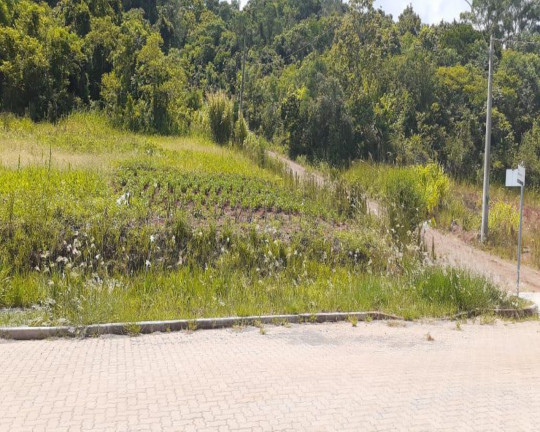 Imagem Imóvel à Venda, 970 m² em Centro - Linha Nova