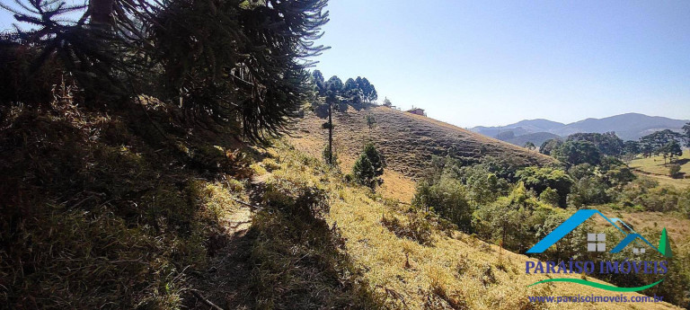 Imagem Chácara à Venda, 20 m² em Centro - Gonçalves