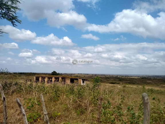 Imagem Fazenda à Venda, 300.000 m² em Lagoa Do Mato - Monte Alegre Imagem Fazenda à Venda, 300.000 m² em Lagoa Do Mato - Monte Alegre