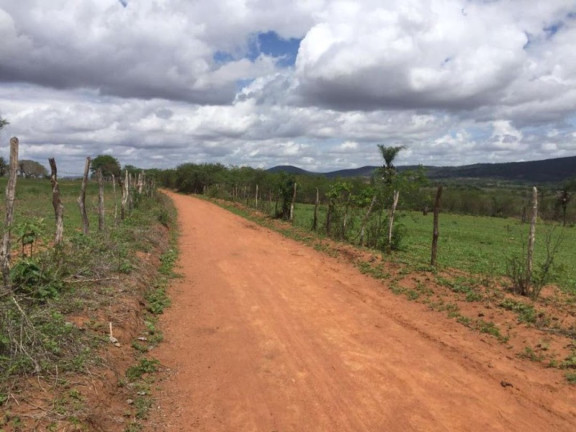 Imagem Fazenda à Venda, 200 m² em Br 116 - Euclides Da Cunha Imagem Fazenda à Venda, 200 m² em Br 116 - Euclides Da Cunha