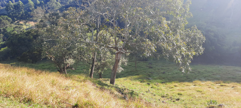 Imagem Imóvel à Venda, 3 m² em Córrego Das Foices (rural) - Bandeira Do Sul