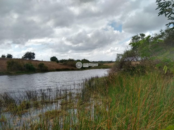 Imagem Fazenda à Venda, 300.000 m² em Lagoa Do Mato - Monte Alegre Imagem Fazenda à Venda, 300.000 m² em Lagoa Do Mato - Monte Alegre