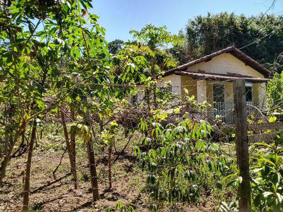 Imagem Imóvel com 2 Quartos à Venda, 2.100 m² em Bairro Roseira (rural) - Campestre
