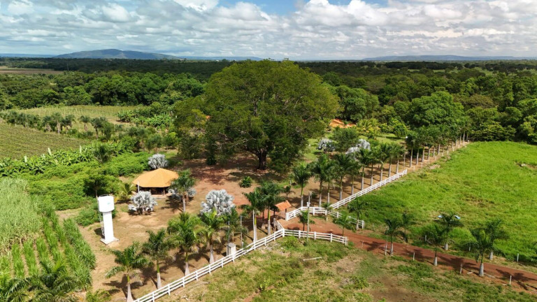 Imagem Chácara com 3 Quartos à Venda, 330.000 m² em Centro - Buritis