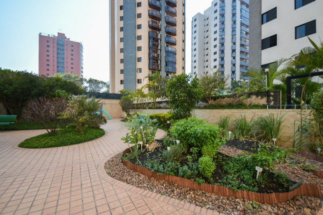 Imagem Apartamento com 3 Quartos à Venda, 97 m² em Vila Clementino - São Paulo Imagem Apartamento com 3 Quartos à Venda, 97 m² em Vila Clementino - São Paulo