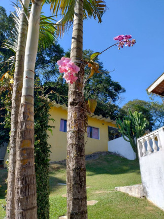 Imagem Chácara com 9 Quartos à Venda, 2.380 m² em Invernada - Mairiporã Imagem Chácara com 9 Quartos à Venda, 2.380 m² em Invernada - Mairiporã