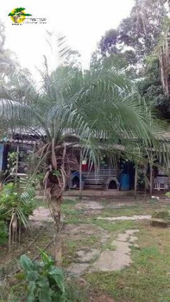 Terreno à Venda, 2 m² em Mantiqueira - Mairiporã