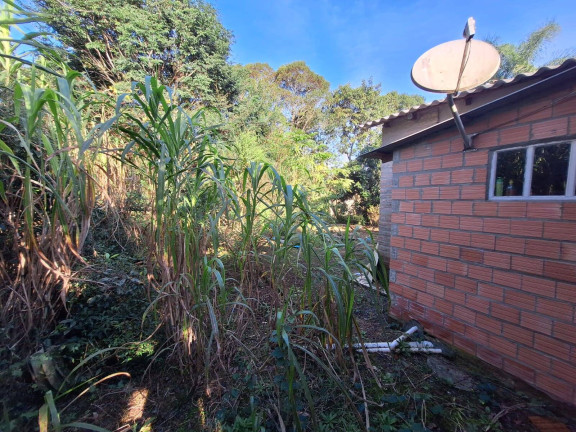 Imagem Casa com 3 Quartos à Venda, 900 m² em águas Claras - Viamão
