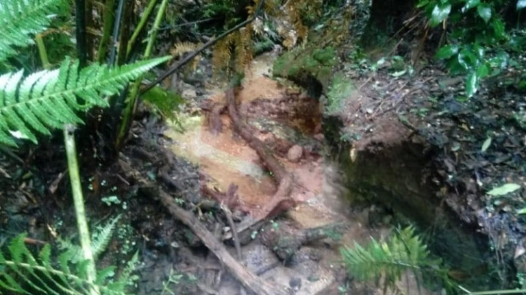 Imagem Chácara com 1 Quarto à Venda, 1 m² em Morro Do Cal - Campo Largo