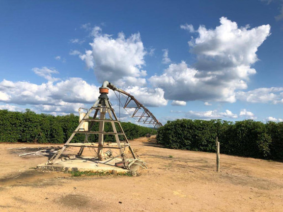 Imagem Fazenda à Venda, 1.000 m² em Centro - São Francisco Imagem Fazenda à Venda, 1.000 m² em Centro - São Francisco