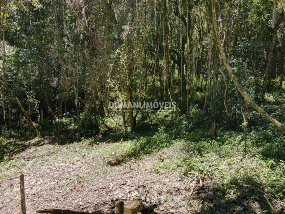 Terreno à Venda, 970 m² em Região Do Alto Da Vila Inglesa - Campos Do Jordão