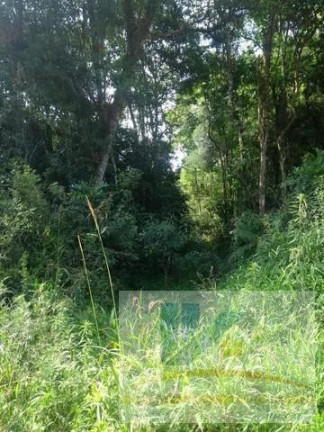 Imagem Terreno à Venda, 20.000 m² em Contenda - São José Dos Pinhais Imagem Terreno à Venda, 20.000 m² em Contenda - São José Dos Pinhais