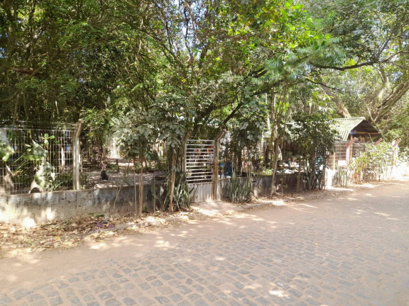 Imagem Terreno à Venda, 1.301 m² em Praia Da Pipa - Tibau Do Sul Imagem Terreno à Venda, 1.301 m² em Praia Da Pipa - Tibau Do Sul