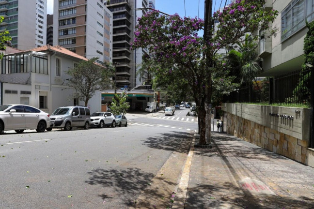 Imagem Imóvel com 3 Quartos à Venda, 232 m² em Jardim América - São Paulo