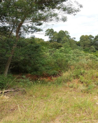 Terreno à Venda, 450 m² em Pousada Da Neve - Nova Petrópolis