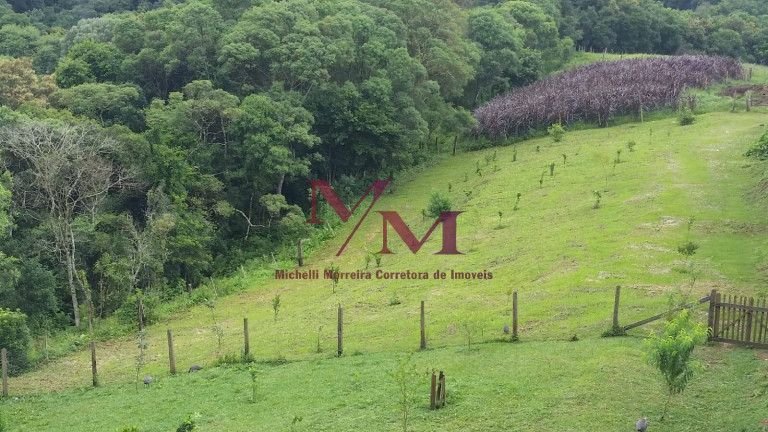 Imagem Chácara à Venda, em Porto Fino - Pontal Do Paraná Imagem Chácara à Venda, em Porto Fino - Pontal Do Paraná