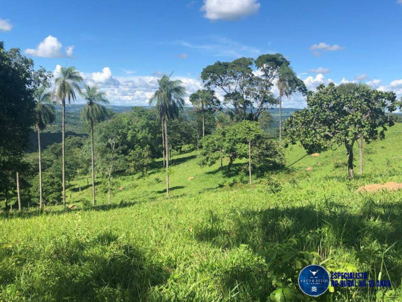 Fazenda à Venda, 52 m² em Zona Rural - Senador Canedo