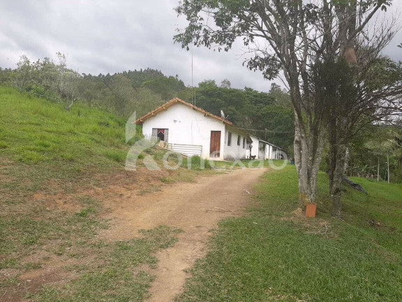 Imagem Fazenda à Venda, 600 m² em Cedro - Paraibuna Imagem Fazenda à Venda, 600 m² em Cedro - Paraibuna