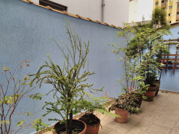 Imagem Casa com 2 Quartos à Venda, 105 m² em Embaré - Santos