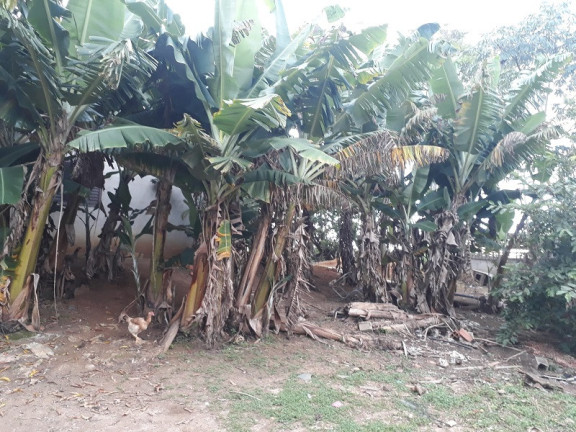 Imagem Imóvel à Venda, em São José Dos Campos Imagem Imóvel à Venda, em São José Dos Campos