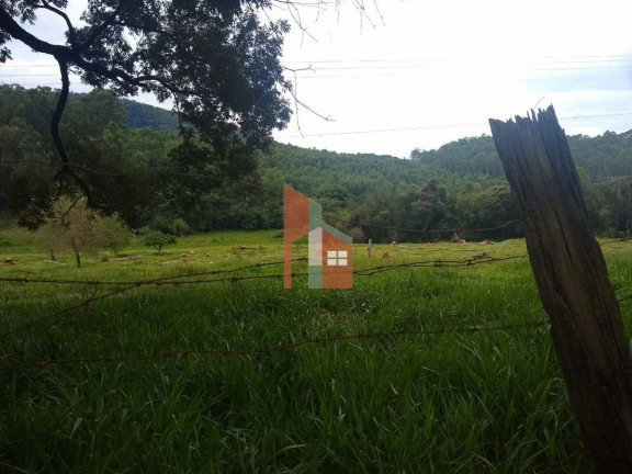 Imagem Terreno à Venda, 56.000 m² em Taboão - Bragança Paulista