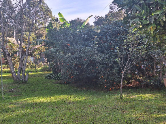 Casa com 3 Quartos à Venda, 900 m² em águas Claras - Viamão