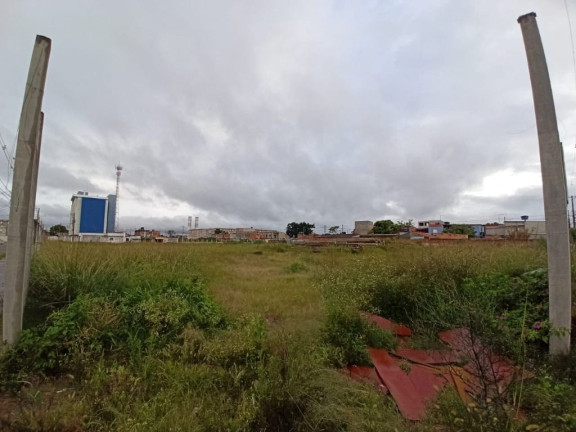 Imagem Imóvel à Venda ou Locação, 7.500 m² em Jundiapeba - Mogi Das Cruzes Imagem Imóvel à Venda ou Locação, 7.500 m² em Jundiapeba - Mogi Das Cruzes