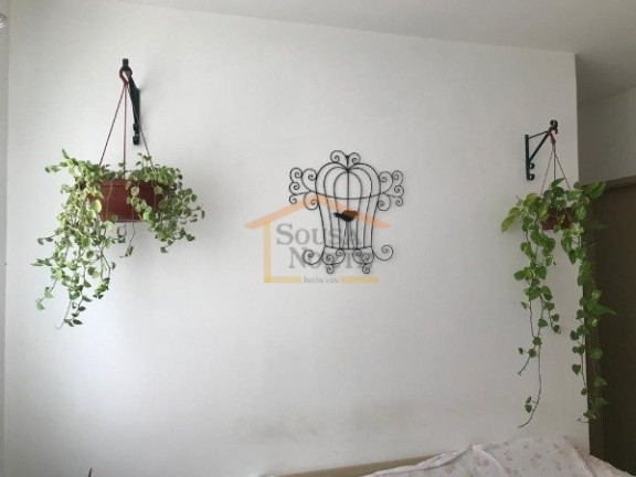 Imagem Apartamento com 2 Quartos à Venda, 70 m² em Jardim São Paulo (zona Norte) - São Paulo Imagem Apartamento com 2 Quartos à Venda, 70 m² em Jardim São Paulo (zona Norte) - São Paulo