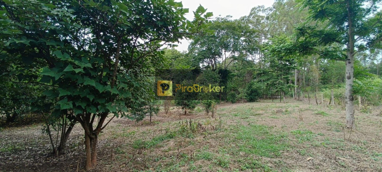 Imagem Imóvel com 7 Quartos à Venda, 38.588 m² em Santa Luzia - Charqueada
