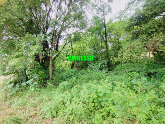 Terreno à Venda, 20.000 m² em Boca Do Monte - Santa Maria