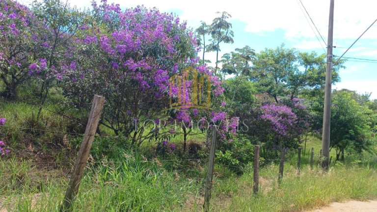 Imagem Terreno à Venda, 64.000 m² em Centro - Caçapava Imagem Terreno à Venda, 64.000 m² em Centro - Caçapava