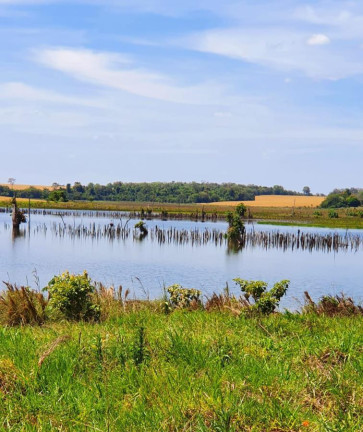 Imagem Fazenda à Venda, 2.178 m² em Rural - Itaí Imagem Fazenda à Venda, 2.178 m² em Rural - Itaí