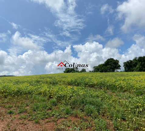 Imagem Terreno à Venda, 276.773 m² em Depois Do Centro - Ibiúna Imagem Terreno à Venda, 276.773 m² em Depois Do Centro - Ibiúna