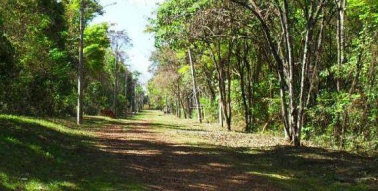 Imagem Casa de Condomínio com 4 Quartos à Venda, 290 m² em Condomínio Mãe Terra - Brumadinho