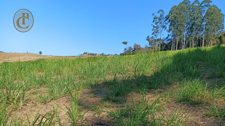 Imagem Chácara com 3 Quartos à Venda, 300 m² em Lageado - Paraibuna Imagem Chácara com 3 Quartos à Venda, 300 m² em Lageado - Paraibuna