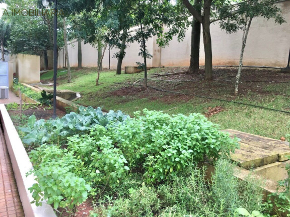 Imagem Imóvel com 3 Quartos à Venda, 64 m² em Jardim Celeste - São Paulo