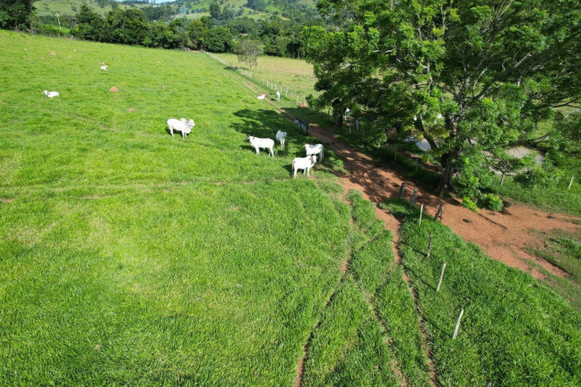 Imagem Chácara à Venda, 9 m² em Zona Rural - São Sebastião Do Paraíso Imagem Chácara à Venda, 9 m² em Zona Rural - São Sebastião Do Paraíso