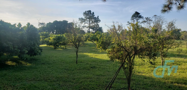 Imagem Imóvel com 4 Quartos à Venda, 36.000 m² em Itapeti - Mogi Das Cruzes Imagem Imóvel com 4 Quartos à Venda, 36.000 m² em Itapeti - Mogi Das Cruzes