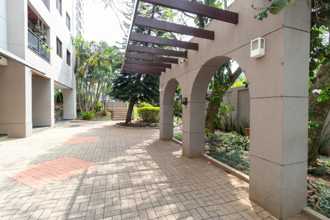 Imagem Apartamento com 3 Quartos à Venda, 61 m² em Vila Arapuã - São Paulo Imagem Apartamento com 3 Quartos à Venda, 61 m² em Vila Arapuã - São Paulo