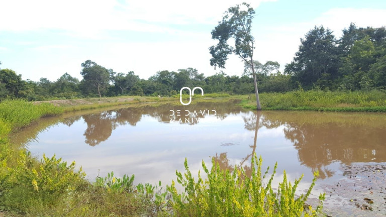 Imóvel com 2 Quartos à Venda, 6.820.000 m² em Zona Rural - Peixe